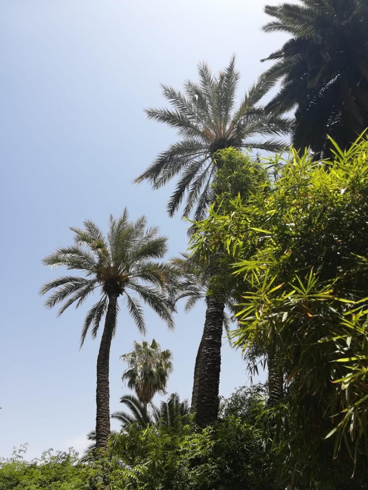 Riad Lalla Aicha-Qariya Siyahia Marrakech Маракеш Екстериор снимка